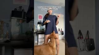 How many can we make?? #foryou #puppy #trend #viralvideo