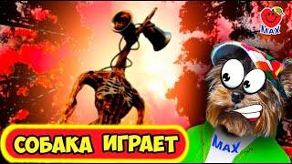 СИРЕНОГОЛОВЫЙ ПРОТИВ МАКСА ! 2 игры ! СОБАКА ИГРАЕТ ! (Siren Head Sirenhead) Валеришка Макс