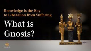 What is Gnosis? Knowledge is the Key to Liberation from Suffering