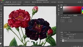 Basic Photoshop Tutorial:  Magic Wand Tool