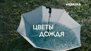 Цветы дождя (Серия 4)