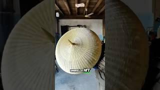 From Bamboo to Amazing Umbrella  ️ #youtubeshorts #shorts #facts #bamboo  #shortsfeed #woodworking