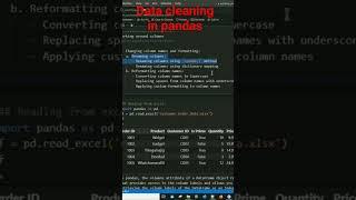 Data cleaning working with columns in python pandas