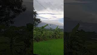 Philippine Eagle Chasing Rat in Farm | Part 1 |