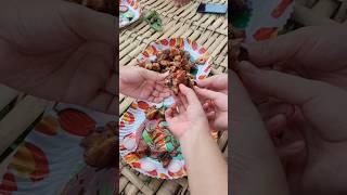 Mini Vlog