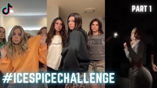 BEST OF ICE SPICE CHALLENGE  | TIKTOK COMPILATION  | 1 MINUTE Deli Mashup Challenge