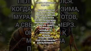 Притча о муравей #притча #мудрость