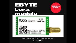 SALE! Sale! Sale! Get the  Ebyte Lora Module for free!