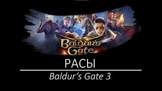 Гайд по расам в Baldur's Gate 3