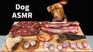 BEST ASMR MUKBANG PITBULL EATING RAW FOODS