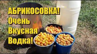 Делаем Абрикосовое вино для приготовления отличной водки!