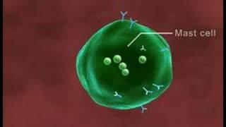 Allergy 3D Medical Animation