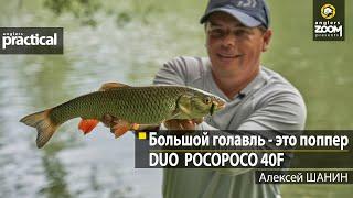 Большой голавль – это поппер. DUO POCOPOCO 40F. Алексей Шанин. Anglers Practical