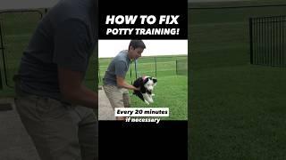 How to Fix Potty Training in 15 Seconds!  It’s That Easy!! #dogtrainer #puppytraining #dogtraining