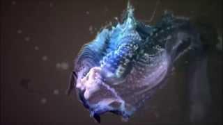 Taboo - Deep Nature