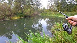 What's on the Pike now? Went Pike fishing with a spinning rod.