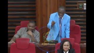 Oliskia wapi funny Tanzania MP makes a come back in Parliament after viral video