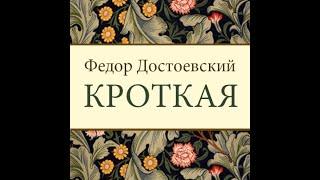 Ф М  Достоевский "Кроткая": психология абьюза устами великого классика