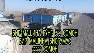 N242. Бир машина гўнг 500 сомон, бир машина биогумус 10000 сомон. 929312345