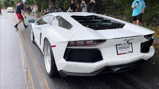 LAMBORGHINI AVENTADOR V12 RAW PURE EXHAUST SOUND ENGINE REV!!