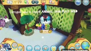 МИНИ ОБЗОР ИГРЫ ANIMAL JAM PLAY WILD 