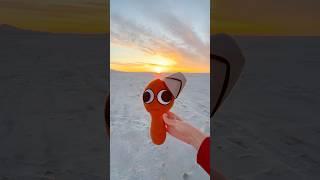 Brud Flies Away