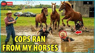 HOA Called Cops to Check My Horse Barn, but They Fled Into the Waste Pond to Escape the Angry Horses