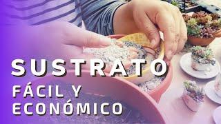  Sustrato fácil y económico para Suculentas - Arreglos y más 