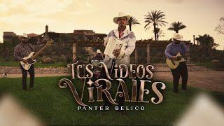 PANTER BÉLICO - TUS VIDEOS VIRALES (Video Oficial)