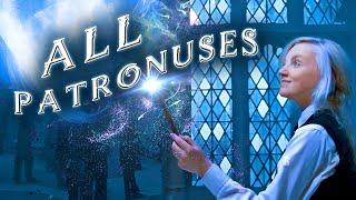 Every known PATRONUS in Harry Potter  SECRET BONUS!