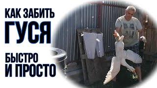 ЗАБОЙ ГУСЕЙ | ВЕСЬ ПРОЦЕСС | АККУРАТНО И БЫСТРО