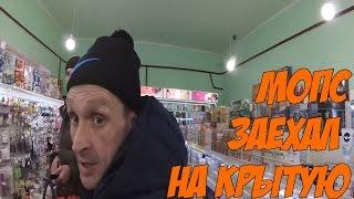 Мопс заехал на крытку или Мопс общается с Аватаром о 25-ой зоне