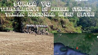 Explore Wisata Pantai Bandealit - Jember (TNMB) Taman Nasional Meru Betiri 2021