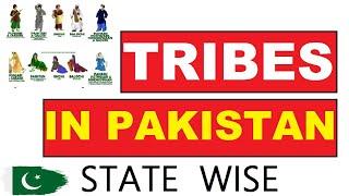 How many ethnic groups  in Pakistan?/The major ethnic groups explained