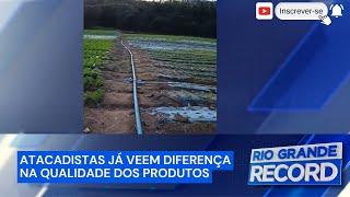 Produção agrícola: atacadistas sentem efeitos das queimadas