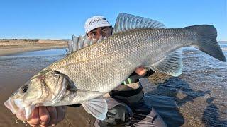 Pesca Invernale a Spinning: Spigole di giorno e Calamari di Sera.