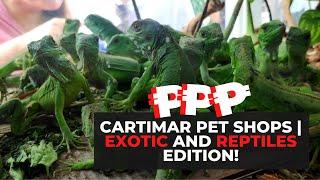 CARTIMAR Pet Shops Price Update | EXOTIC AND REPTILES EDITION!