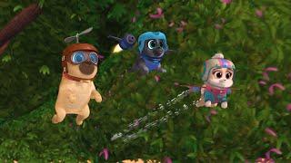 Puppy Dog Pals