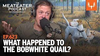 What Happened to the Bobwhite Quail? | The MeatEater Podcast