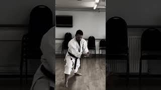 Goju Ryu Kata - Saifa