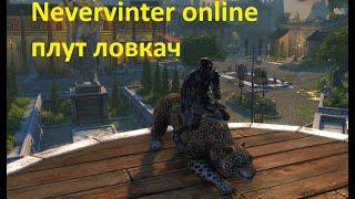 Nevervinter Online плут ловкач ПВП PvP