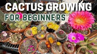 How to Grow Cactus for Beginners / How to Take Care of Cactus | #careforcactus