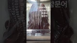 #피문어 #산지직송 #산지직거래 #참문어 #문어 #대문어