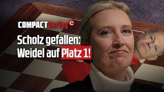 Scholz gefallen: Weidel auf Platz 1!