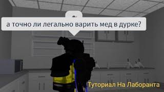 The Дурка Туториал на лаборанта