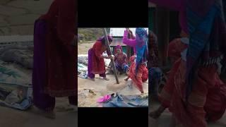 A method of threshing rice in rural areas of Nepal