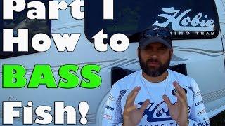 VENTURETUBE SERIES Teaching YOU how to BASS FiSH   Part 1 Hot Summer Days