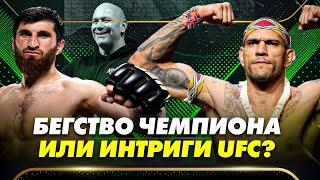 ПЕРЕЙРА vs АНКАЛАЕВ! Бегство Чемпиона или интриги UFC?