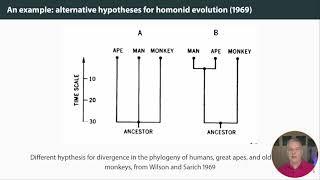 LSM2241 Introductory Bioinformatics: Molecular phylogenetics and evolutionary history