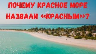 Почему Красное море назвали «красным»?